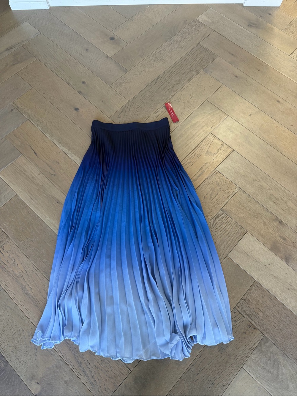 Carbon38 Navy Ombre Pleated Mesh Skirt - Picture 6 of 10